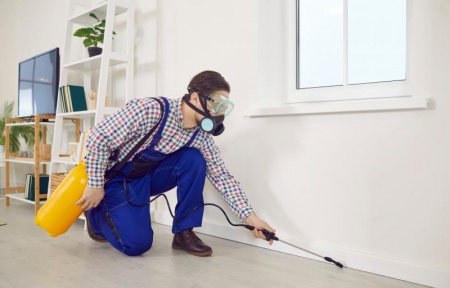 Comment éliminer efficacement les nuisibles dans votre habitation ?