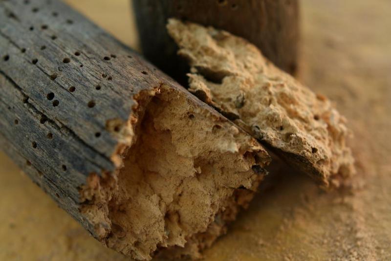 Traitement de charpente &agrave; Mulhouse, la solution contre les parasites du bois